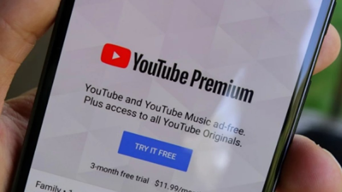 Facilisimo Descubre Como Dejar De Ver Anuncios En Youtube Primicias 24