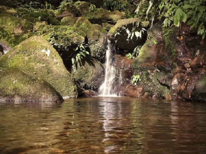 1992 Declaran El Guache "Parque Nacional de Venezuela" Primicias 24